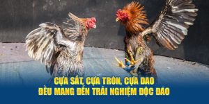 Đá gà cựa sắt