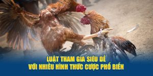 Cách tính điểm đá gà thomo